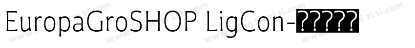 EuropaGroSHOP LigCon字体转换